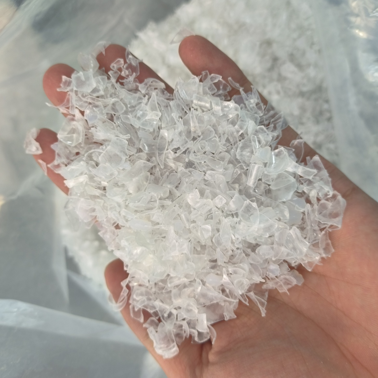 PET Plastic Scrap offers in Saudi Arabia